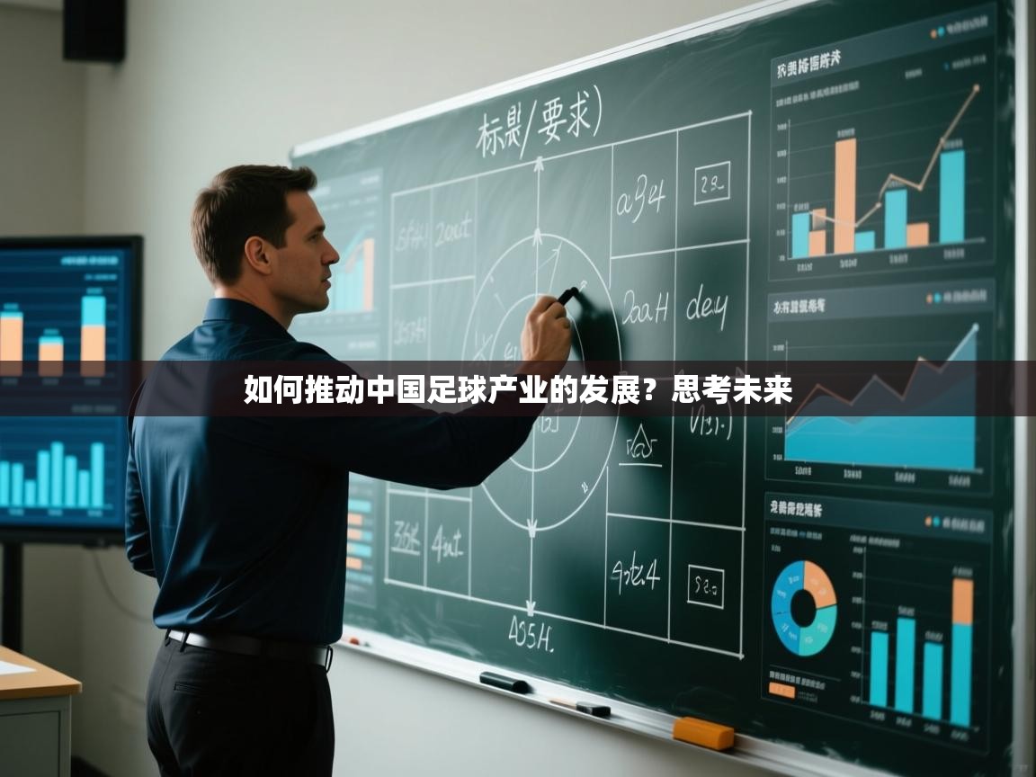 开云kaiyun体育app入口下载官网-如何推动中国足球产业的发展?思考未来  第1张