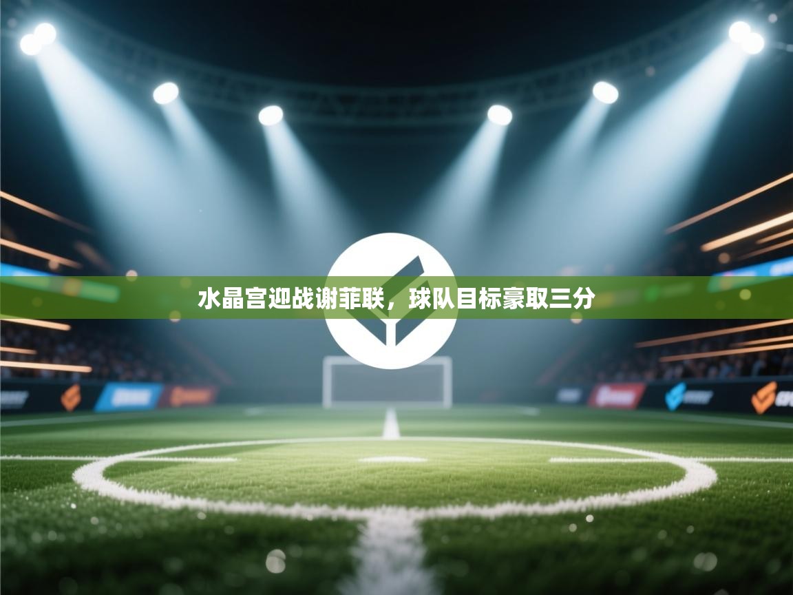 开云体育app安装-水晶宫迎战谢菲联,球队目标豪取三分 第3张