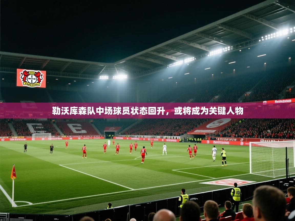 开云体育注册-勒沃库森队中场球员状态回升，或将成为关键人物  第4张